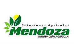 Cliente Inticap