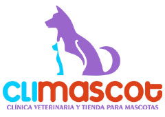 Cliente Inticap