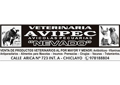 Cliente Inticap