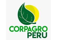 Cliente Inticap