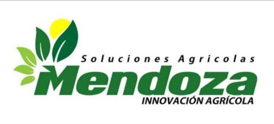 Cliente Inticap