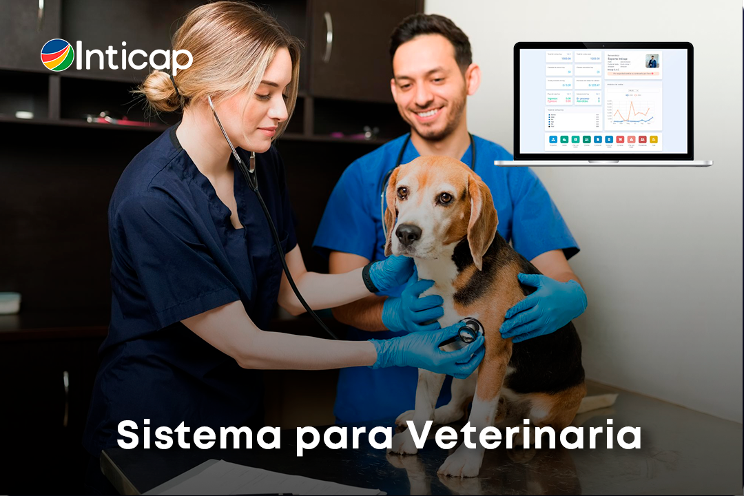Sistema de Veterinaria con Facturación Electrónica